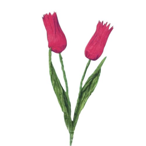 Kézműves csomag - Piros Tulipán