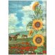 A4 rizspapír, csom. - Sunflower Art and horses