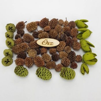 Természetjáró gyűjtemény terméscsomag burgundi