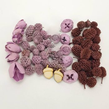   Természetjáró gyűjtemény terméscsomag burgundi-rózsaszín