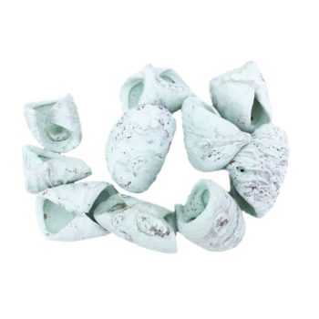 Türkiz csavart termés