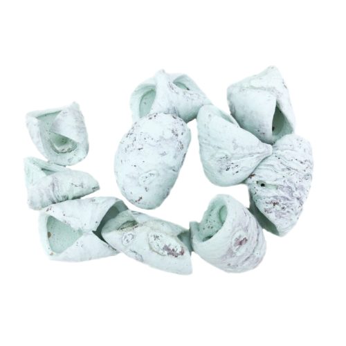 Türkiz csavart termés