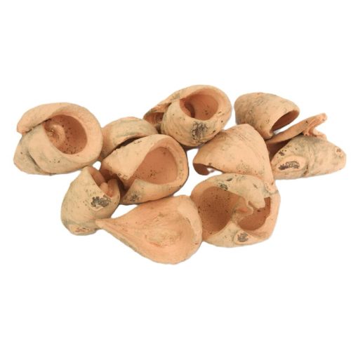 Narancs csavart termés