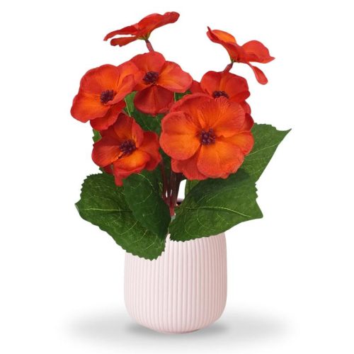 Primula 30cm narancs