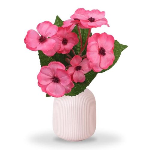 Primula 30cm rózsaszín