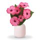 Primula 30cm rózsaszín