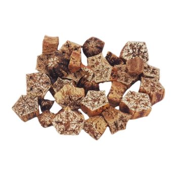 Mahagóni szelet termés