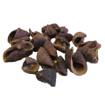 Barna csavart termés