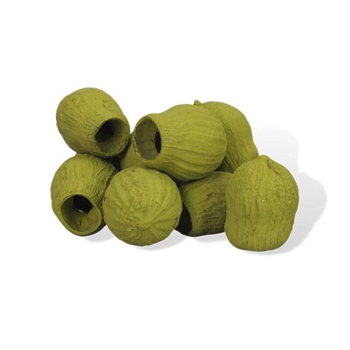 Eukalyptus bell gum oliva 1-5cm