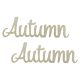 "Autumn" felirat 2db/csomag