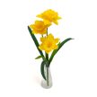 Nárcisz 3 fejes sárga