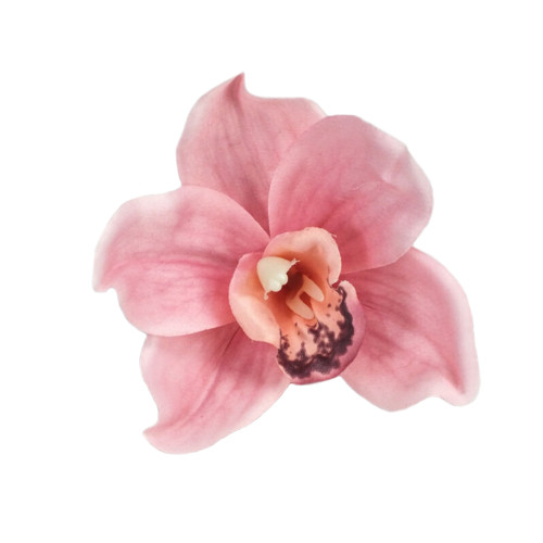 Orchidea fej rózsaszín