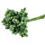 Bogyós mini csokor 9cm zöld