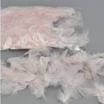 Madártoll több rendelhető színben