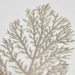 Csillámos thuja ág pezsgő 40cm x 15cm