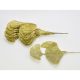 Gingko levél csillámos arany 10db/csomag