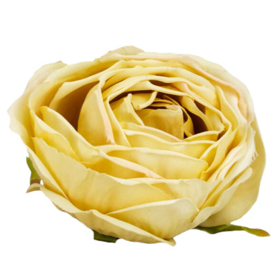Rózsa fej 5,5cm - krém sárga