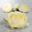 Rózsa fej 5,5cm - krém