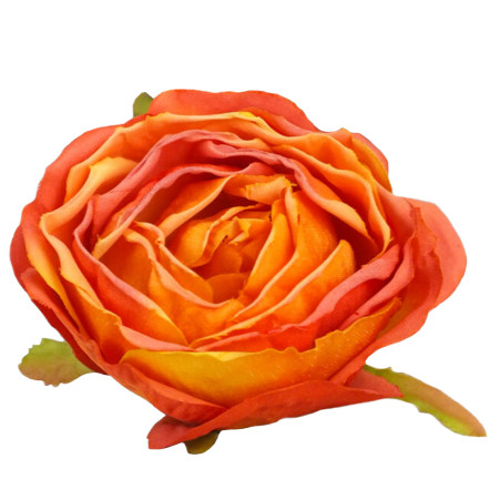 Rózsa fej 5,5cm - napsárga