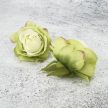 Rózsafej 4,5cm világoszöld