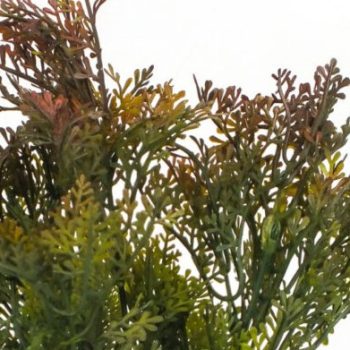 Smaragd thuja csokor barnászöld