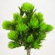 Protea csokor világoszöld 32cm 2db/csomag