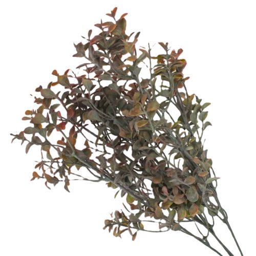 Buxus csokor barna