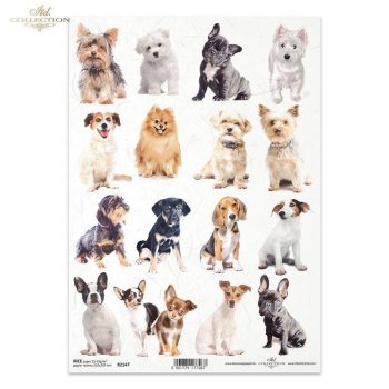 Rizspapír A4 - Kutyákkal