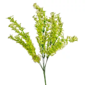 Kabomba bokor 6ágú M32cm 60db/#