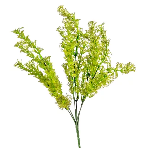 Kabomba bokor 6ágú M32cm 60db/#
