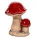 Gomba csoport ker. M12cm