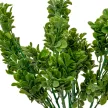 Buxus csokor 7 ágú 40cm