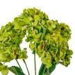 Hortenzia csokor 5 virágos zöld 47cm