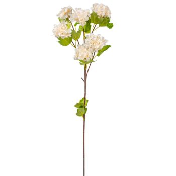 Hortenzia ág 6v. ivory M100cm 24db/#