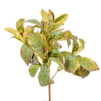 Leveles bokor 6 ágú 38cm