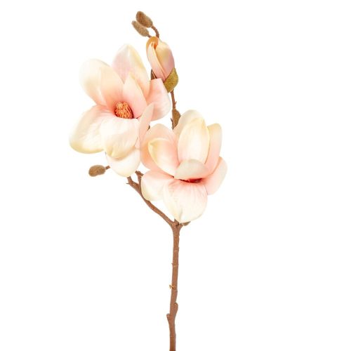 Magnólia ág 3v. barack M50cm 24db/#