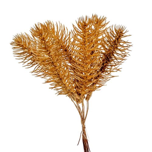 Fenyő pick arany M19cm