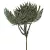Pálma leveles pick glitteres zöld 21cm