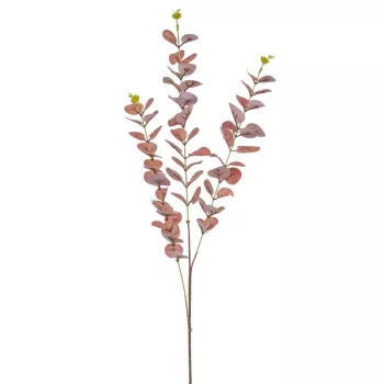 Eukaliptusz púder 82cm