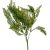 Díszítő csokor 5ágú zöld M36cm 72db/#