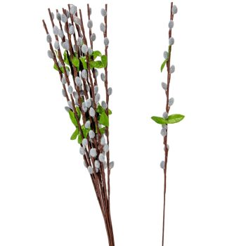 Barka ág M54cm 12db/köteg