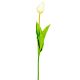Tulipán szálas M54cm 48db/#
