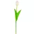Tulipán szálas fehér halványrózsaszín 54cm