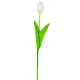 Tulipán szálas fehér halványrózsaszín 54cm