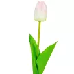 Tulipán szálas fehér halványrózsaszín 54cm