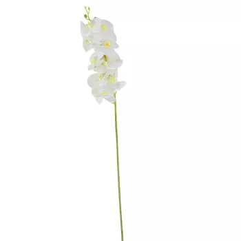 Orchidea szálas gumi krém M100cm 30db/#