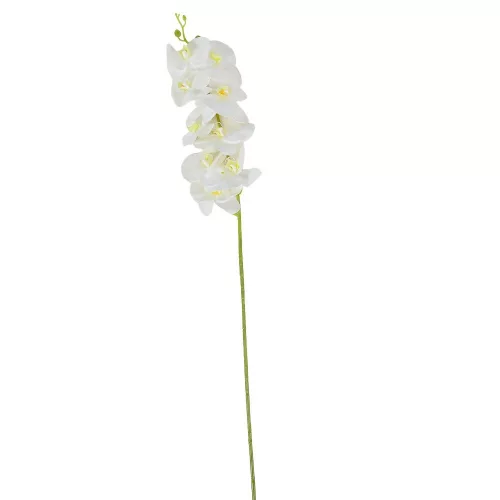 Orchidea szálas gumi krém M100cm 30db/#
