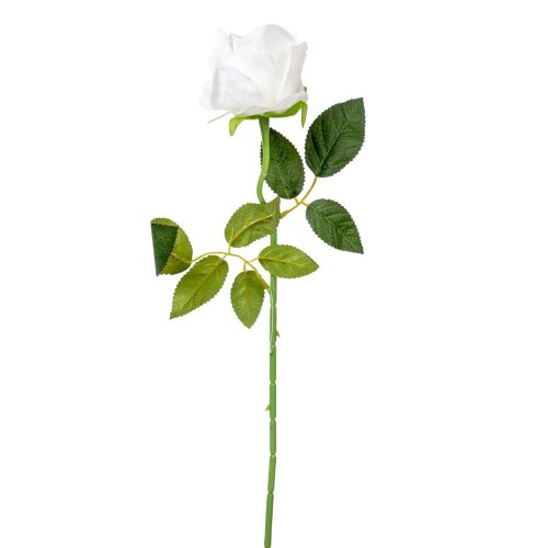Rózsa szálas bársony krém 51cm