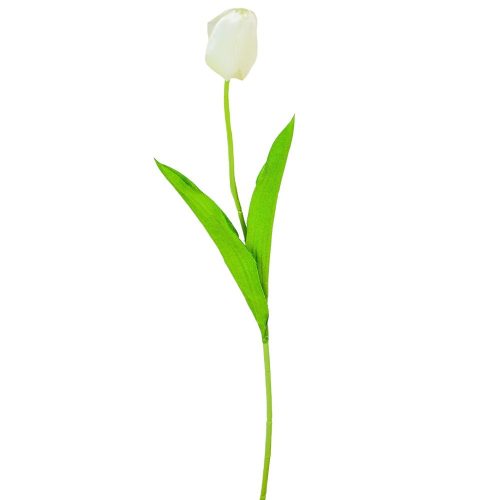 Tulipán szálas M48cm 48db/#