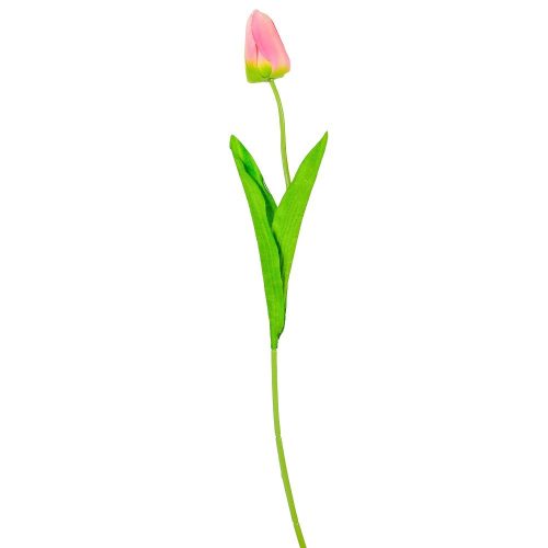 Tulipán szálas M48cm 48db/#